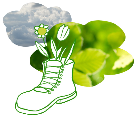 shoe